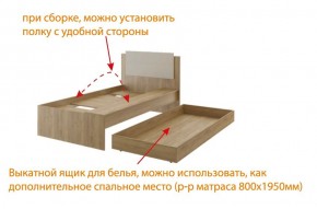 Дуглас (подростковая) М14 Кровать в Нижневартовске - niznevartovsk.mebel-74.com | фото