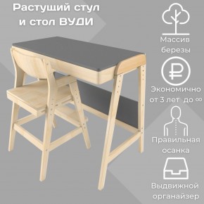 Комплект растущий стол и стул 38 попугаев «Вуди» (Серый, Без покрытия) в Нижневартовске - niznevartovsk.mebel-74.com | фото