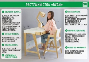 Комплект растущий стол и стул с чехлом 38 попугаев «Вуди» (Белый, Белый, Салют) в Нижневартовске - niznevartovsk.mebel-74.com | фото