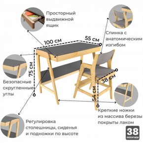 Комплект растущий стол и стул с чехлом 38 попугаев «Вуди» (Серый, Береза, Серый) в Нижневартовске - niznevartovsk.mebel-74.com | фото