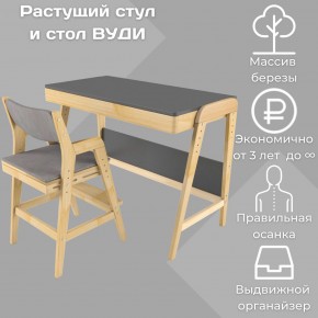 Комплект растущий стол и стул с чехлом 38 попугаев «Вуди» (Серый, Без покрытия, Серый) в Нижневартовске - niznevartovsk.mebel-74.com | фото
