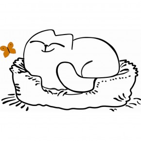 Кровать двухуровневая Кот № 900.1 ЛЕВАЯ (туя светлая/белый) в Нижневартовске - niznevartovsk.mebel-74.com | фото