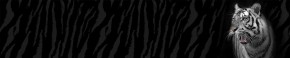 Кухонный фартук Фауна 055 МДФ матовый (3000) Fauna в Нижневартовске - niznevartovsk.mebel-74.com | фото