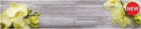 Кухонный фартук КМ 09 Композит глянец (3000) в Нижневартовске - niznevartovsk.mebel-74.com | фото