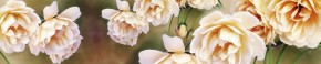 Кухонный фартук Цветы 066 МДФ матовый (3000) Flowers в Нижневартовске - niznevartovsk.mebel-74.com | фото