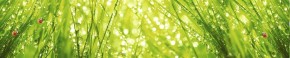 Кухонный фартук Цветы 115 МДФ матовый (3000) Flowers в Нижневартовске - niznevartovsk.mebel-74.com | фото