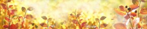 Кухонный фартук Цветы 318 МДФ матовый (3000) Flowers в Нижневартовске - niznevartovsk.mebel-74.com | фото