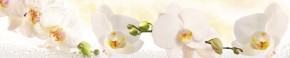 Кухонный фартук Цветы 328 МДФ матовый (3000) Flowers в Нижневартовске - niznevartovsk.mebel-74.com | фото