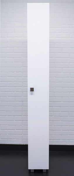 Пенал напольный 25 Мега без ящика левый/правый АЙСБЕРГ (DM4608P) в Нижневартовске - niznevartovsk.mebel-74.com | фото