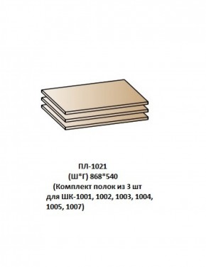 ПЛ-1021 (Комплект полок из 3 шт для ШК-1001, 1002, 1003, 1004, 1005, 1007) в Нижневартовске - niznevartovsk.mebel-74.com | фото