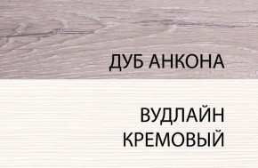 Шкаф 1DW, OLIVIA, цвет вудлайн крем/дуб анкона в Нижневартовске - niznevartovsk.mebel-74.com | фото