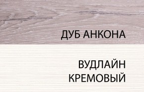 Шкаф 2DG, OLIVIA, цвет вудлайн крем/дуб анкона в Нижневартовске - niznevartovsk.mebel-74.com | фото