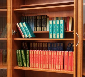 Шкаф для книг арт. 200 в Нижневартовске - niznevartovsk.mebel-74.com | фото