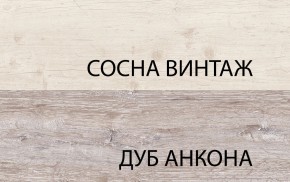 Шкаф с витриной 1V1D1S, MONAKO, цвет Сосна винтаж/дуб анкона в Нижневартовске - niznevartovsk.mebel-74.com | фото