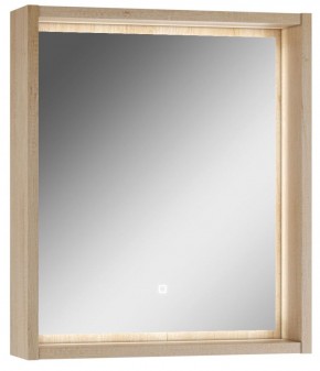 Шкаф-зеркало Nice 60 с подсветкой Домино (DN4706HZ) в Нижневартовске - niznevartovsk.mebel-74.com | фото