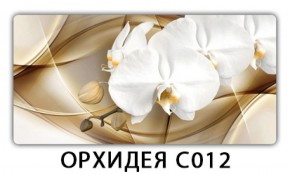 Стол раздвижной Трилогия с фотопечатью Орхидея R041 в Нижневартовске - niznevartovsk.mebel-74.com | фото
