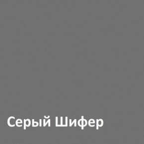 Юнона Шкаф торцевой 13.221 в Нижневартовске - niznevartovsk.mebel-74.com | фото