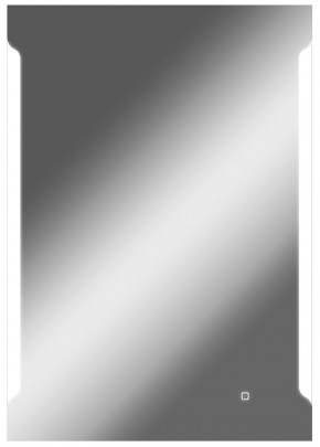 Зеркало Оттава 1000х700 с подсветкой Домино (GL7028Z) в Нижневартовске - niznevartovsk.mebel-74.com | фото